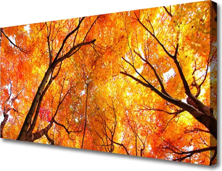 Obraz na płótnie Gęsty Las Liściasty