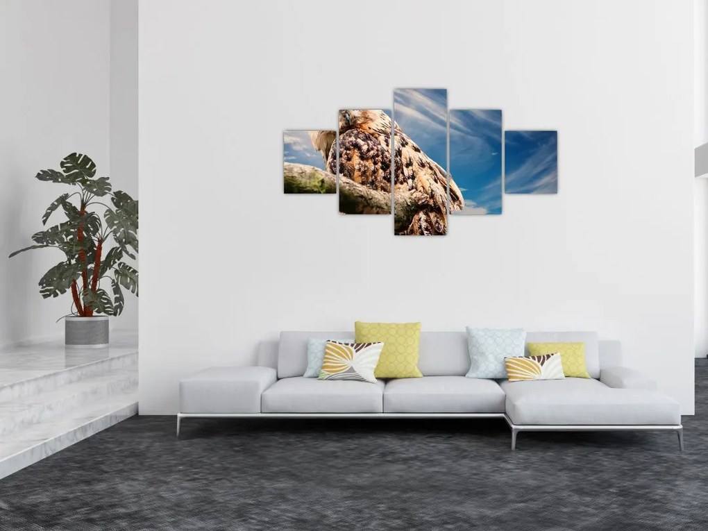Obraz sowy (125x70 cm)