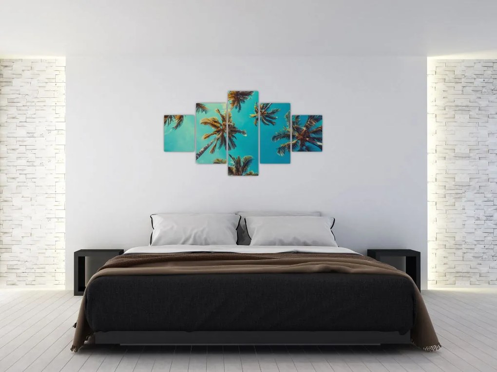 Obraz - Wysokie palmy (125x70 cm)