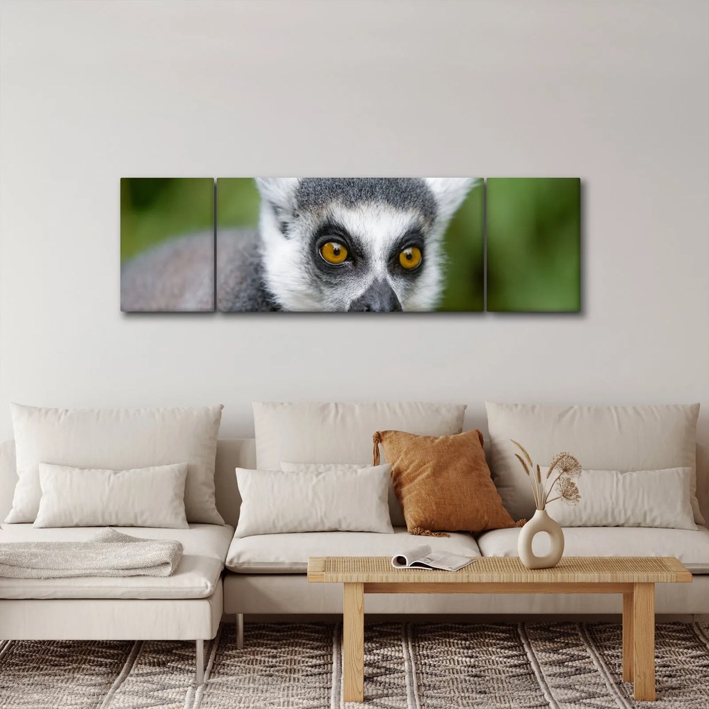 Obraz lemura (170x50 cm)