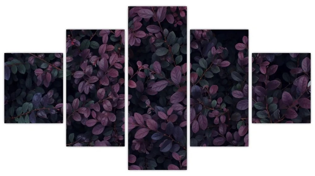 Obraz ciemnoczerwonych liści (125x70 cm)