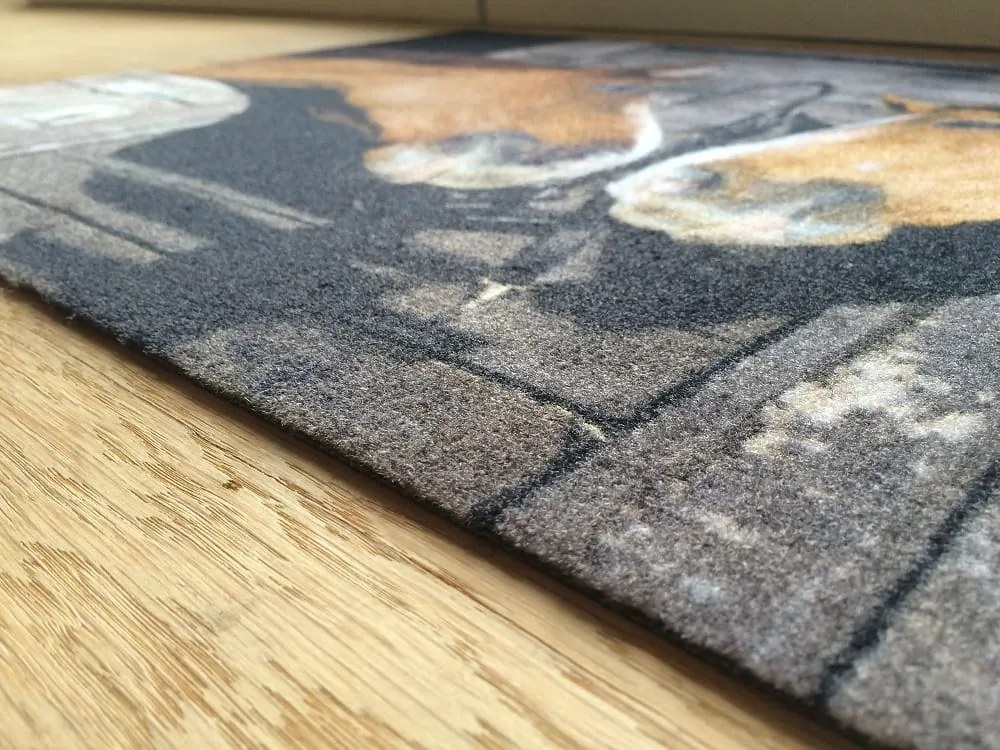 Wycieraczka Deco Star Koniki 40 cm x 60 cm