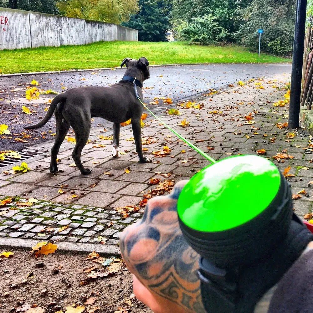 Niebieska smycz w rozmiarze L 3 Bungee – Lishinu