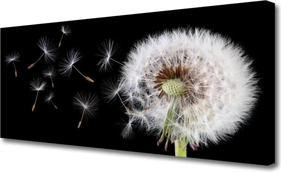 Obraz canvas na ścianę Puszysty Mniszek Lekarski