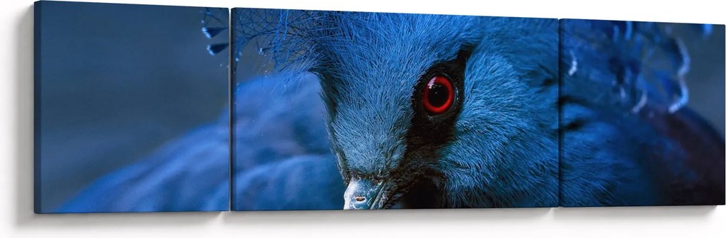 Obraz - Koronowany gołąb (170x50 cm)