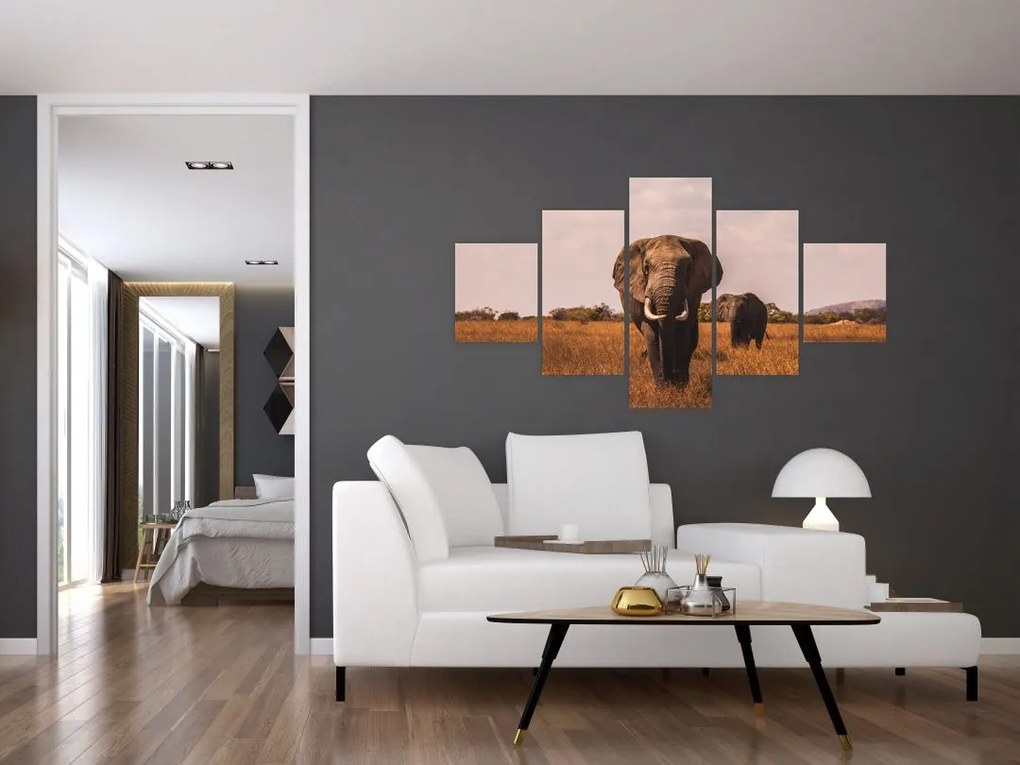 Obraz - Przybycie słonia (125x70 cm)