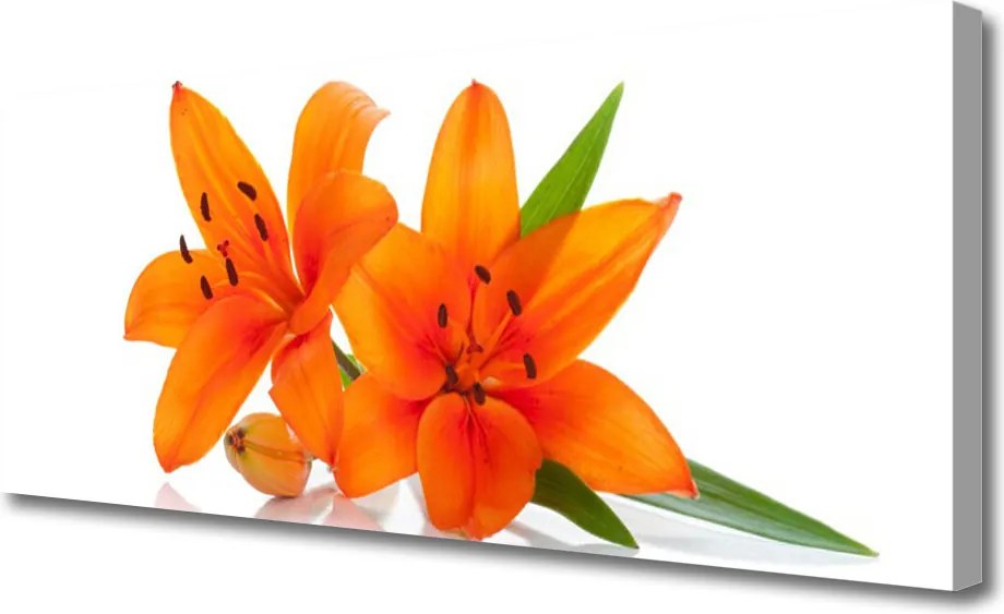 Zdjęcie na płótnie Letni Ogród Kwiatowy