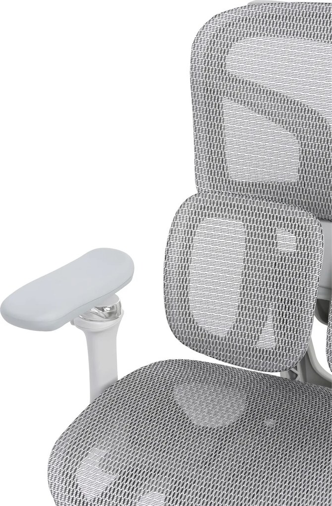 Krzesło biurowe LEVEL, szara