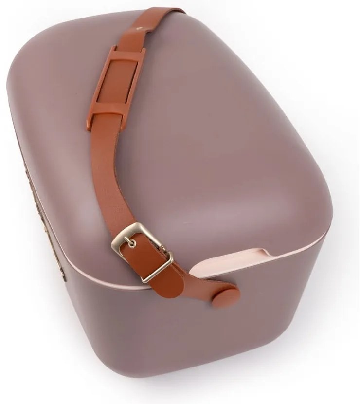 Brązowy pojemnik chłodzący 12 l Classic Gold – Polarbox