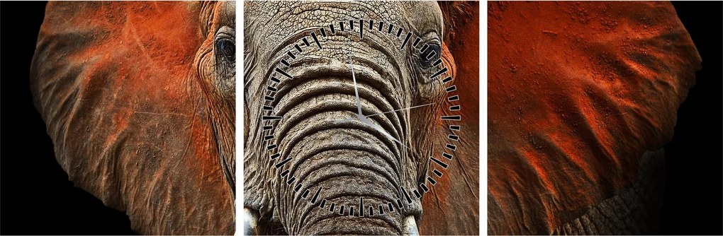 Obraz - Słonie z Tsavo (z zegarem) (90x30 cm)