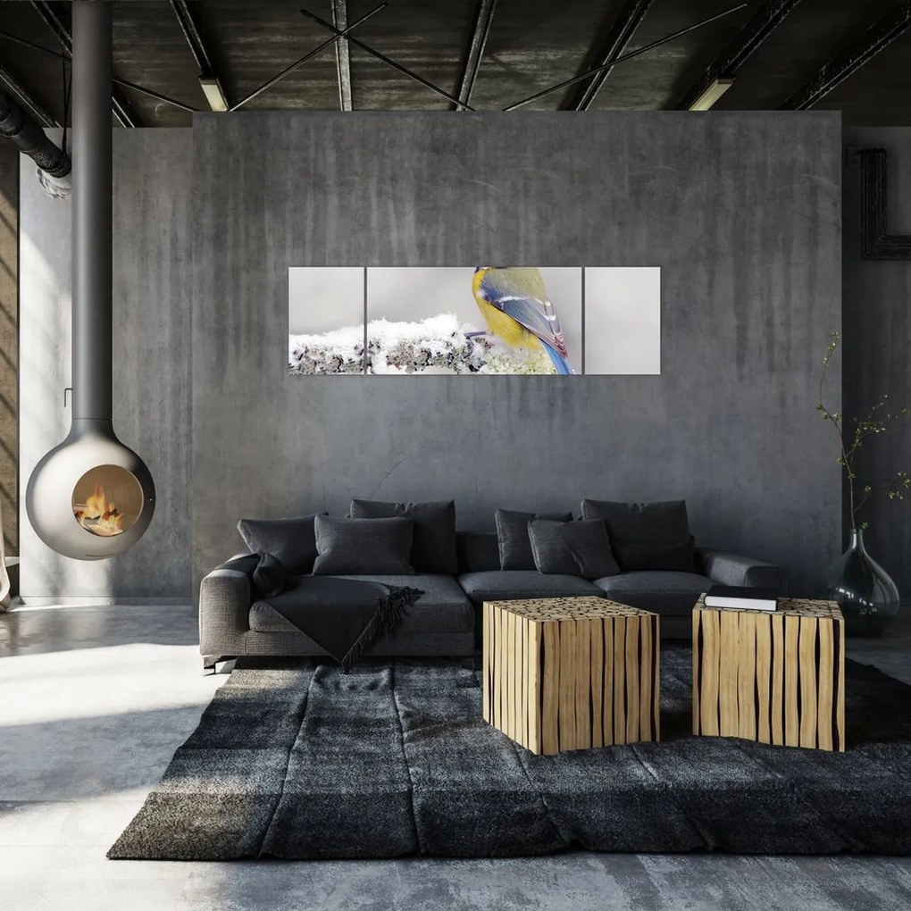 Obraz - Sikora modraszka w lesie (170x50 cm)