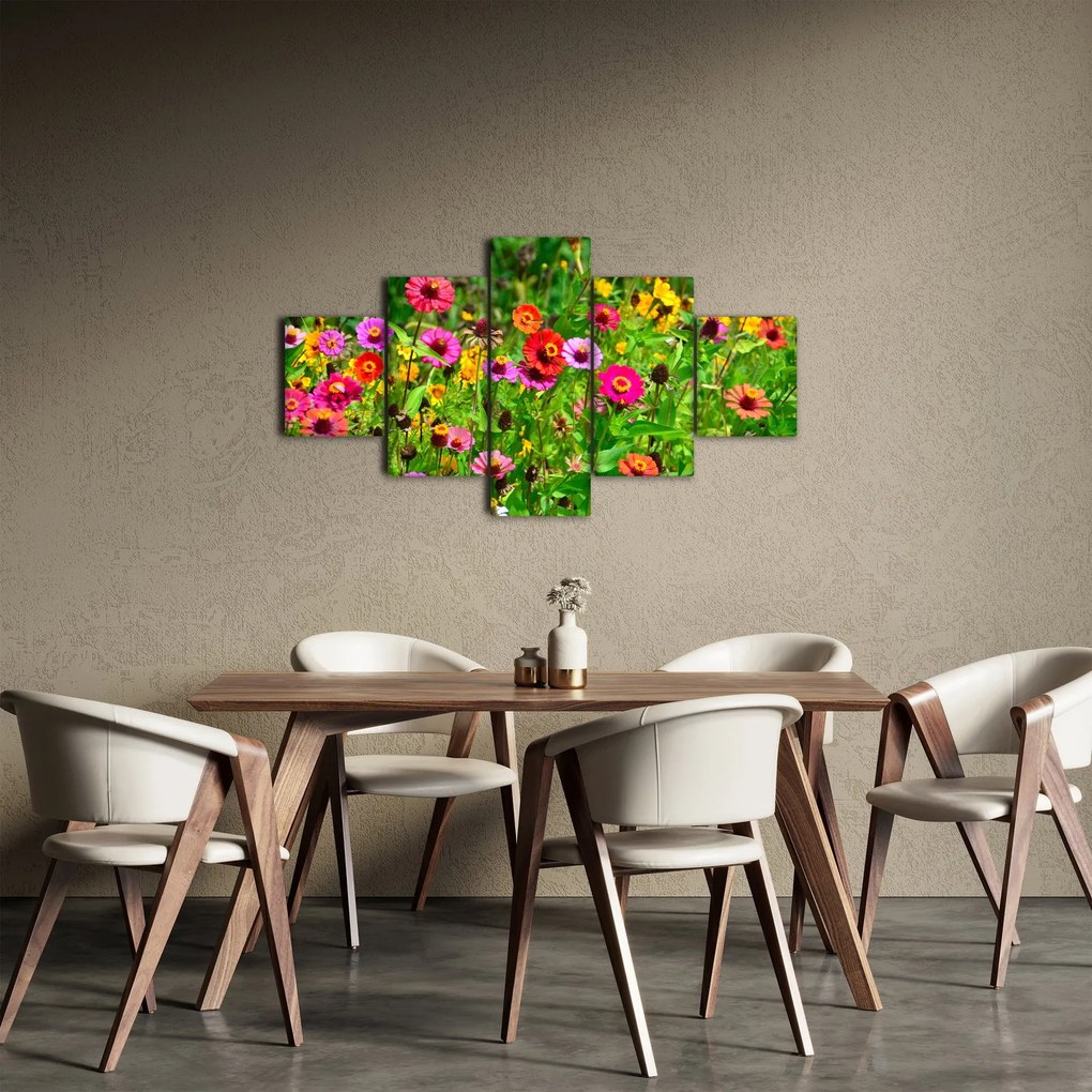 Obraz kwiatów polnych (125x70 cm)