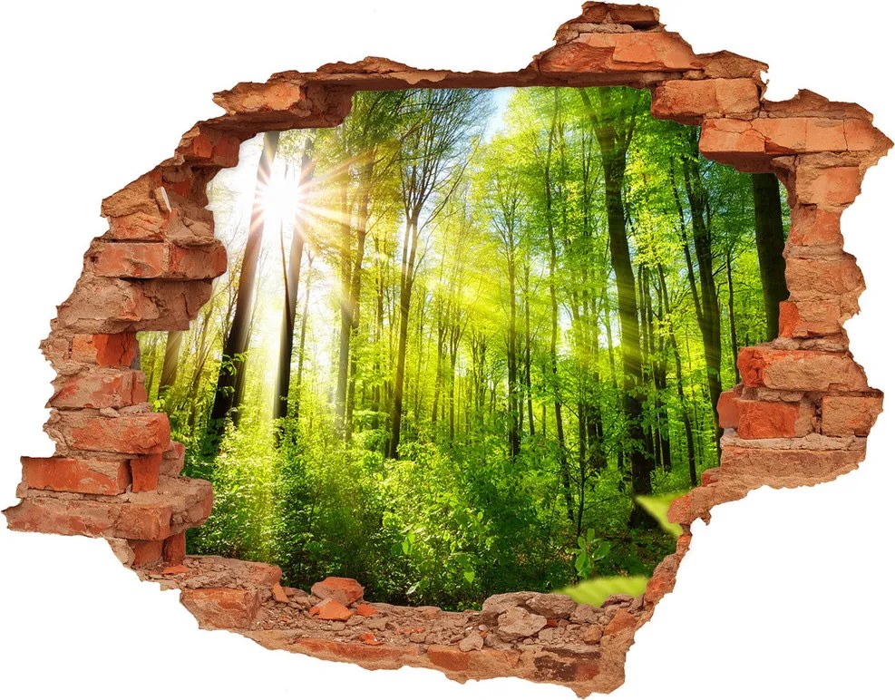 Samoprzylepna naklejka beton Las w słońcu