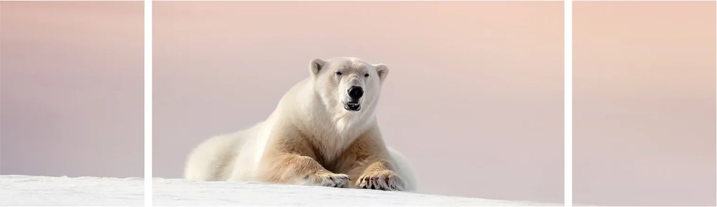 Obraz - Niedźwiedź polarny (170x50 cm)