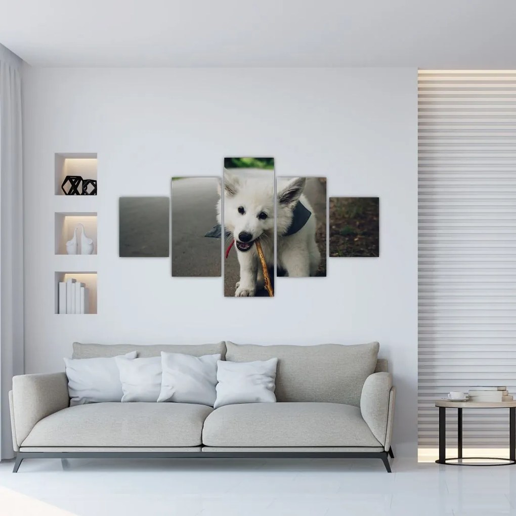 Obraz białego psa (125x70 cm)