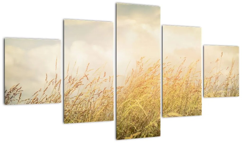 Obraz - Pole jesienią (125x70 cm)