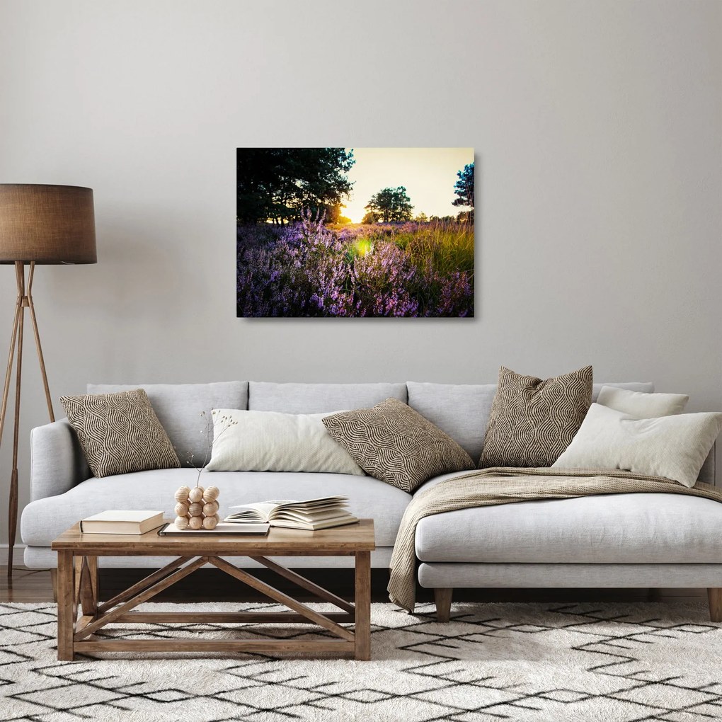 Obraz na szkle pola lawendy (70x50 cm)
