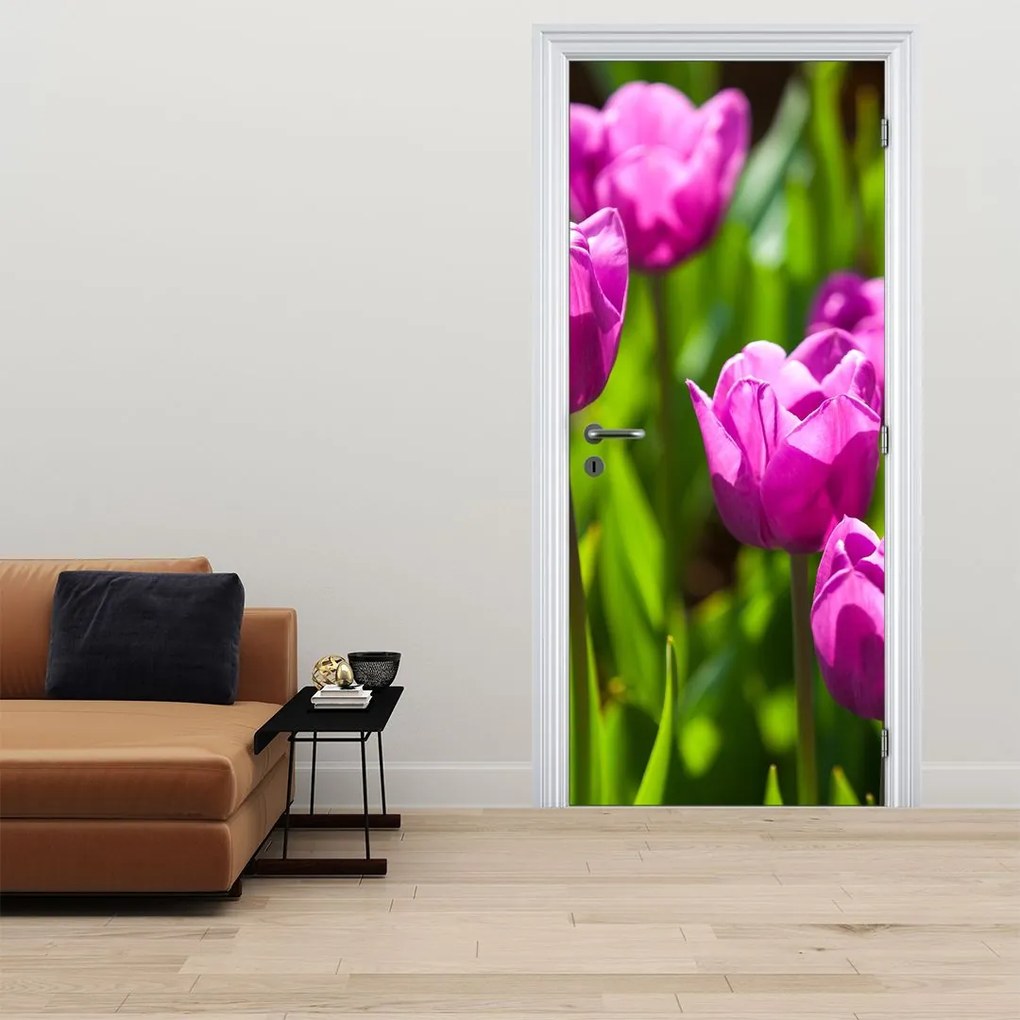 Fototapeta na drzwi - Tulipany na łące (95x205cm)