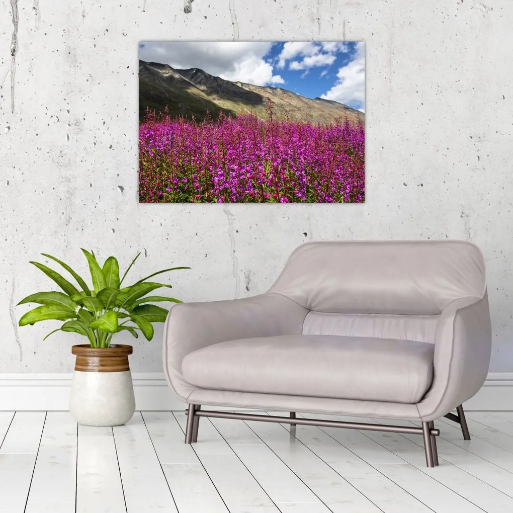 Obraz na szkle scenerii łąki górskiej (70x50 cm)