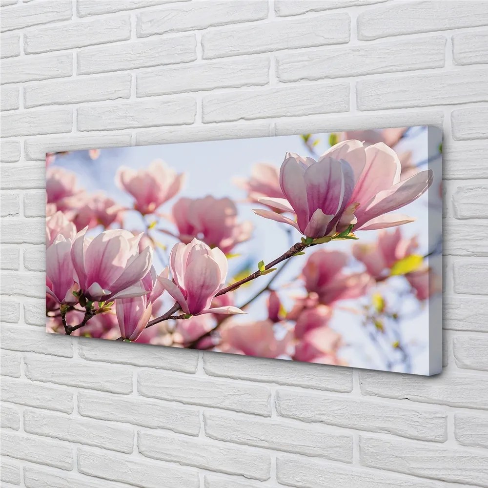 Duży obraz na płótnie Magnolia