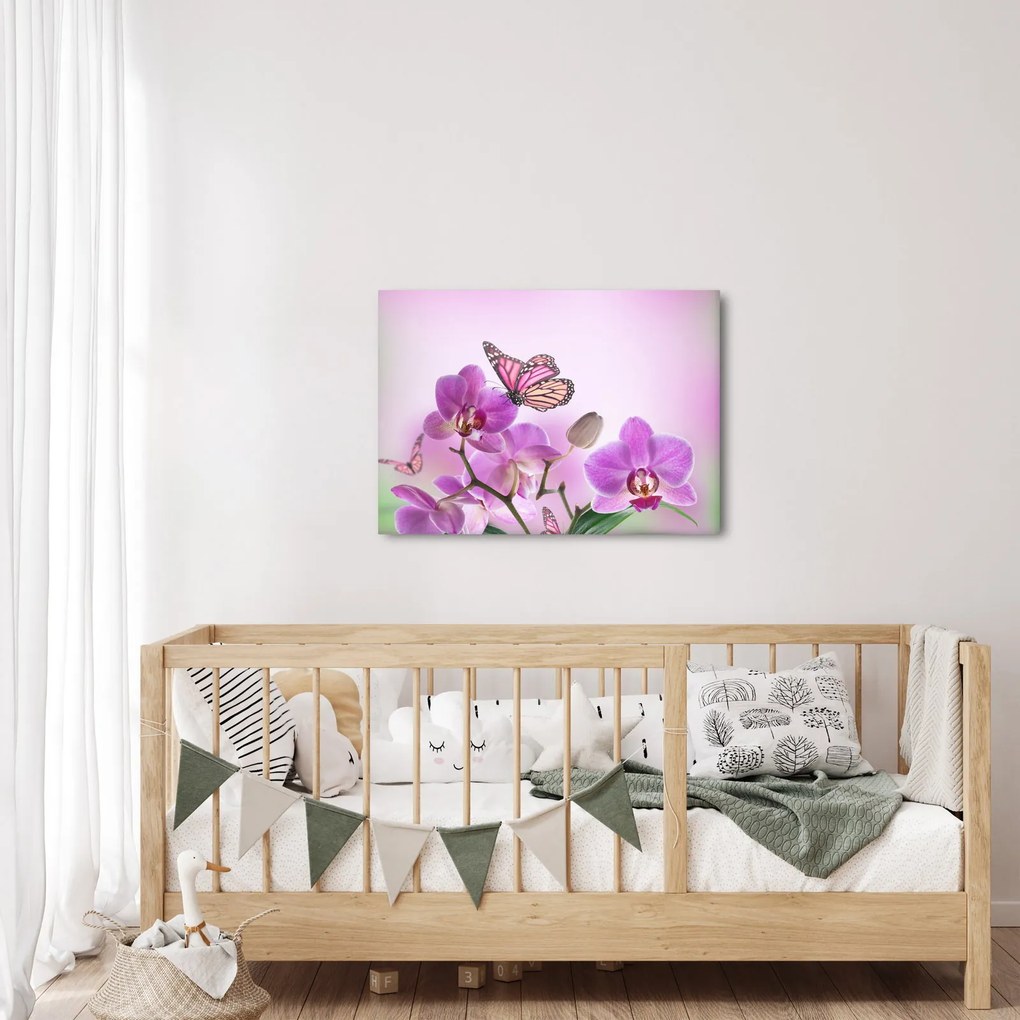 Obraz - Motyl na kwiatach orchidei, liliowy (70x50 cm)