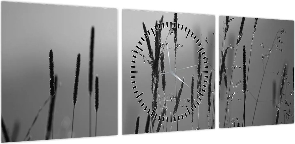 Obraz - źdźbła trawy (z zegarem) (90x30 cm)