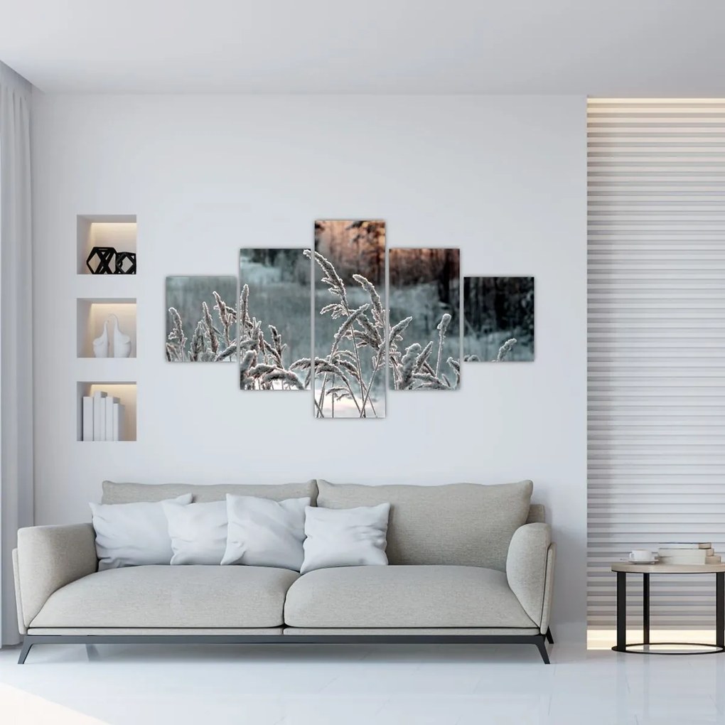 Obraz - Frozen Meadow (125x70 cm)