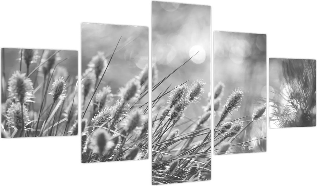 Obraz - Beżowa miękka trawa N⁰1 (125x70 cm)