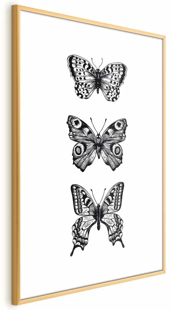 Plakat Trzy motyle 21x30 cm z ramą złotą bez marginesu ARTGEIST B