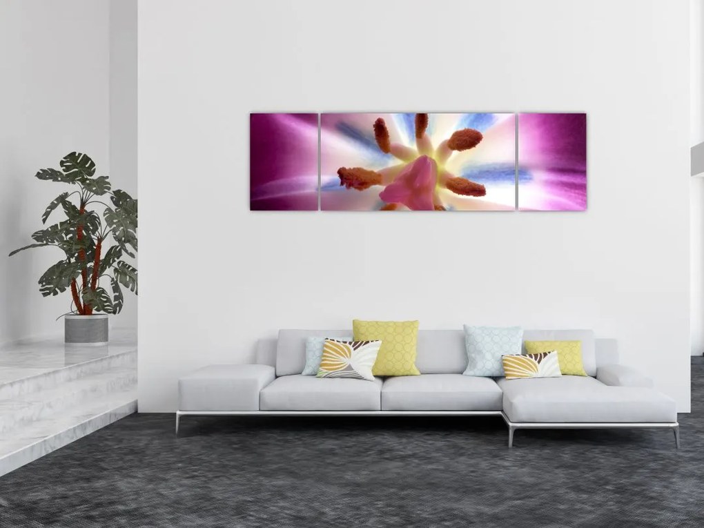 Obraz - Kwiat tulipana w szczegółach (170x50 cm)