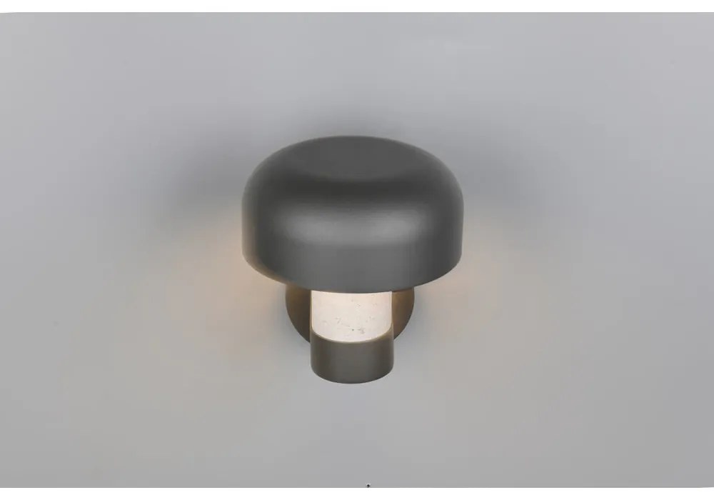 Zewnętrzna lampa ścienna (wysokość 24,5 cm) Fraser – Trio