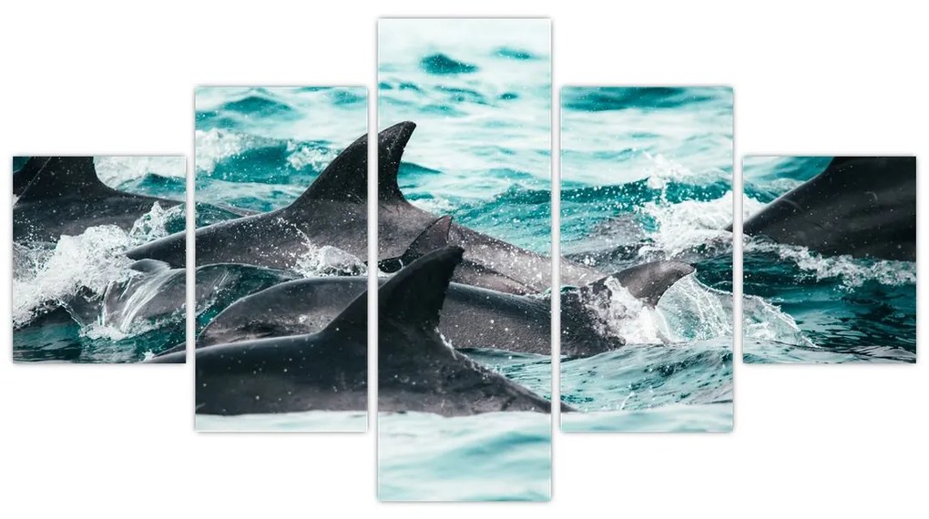 Obraz - Delfiny w oceanie (125x70 cm)