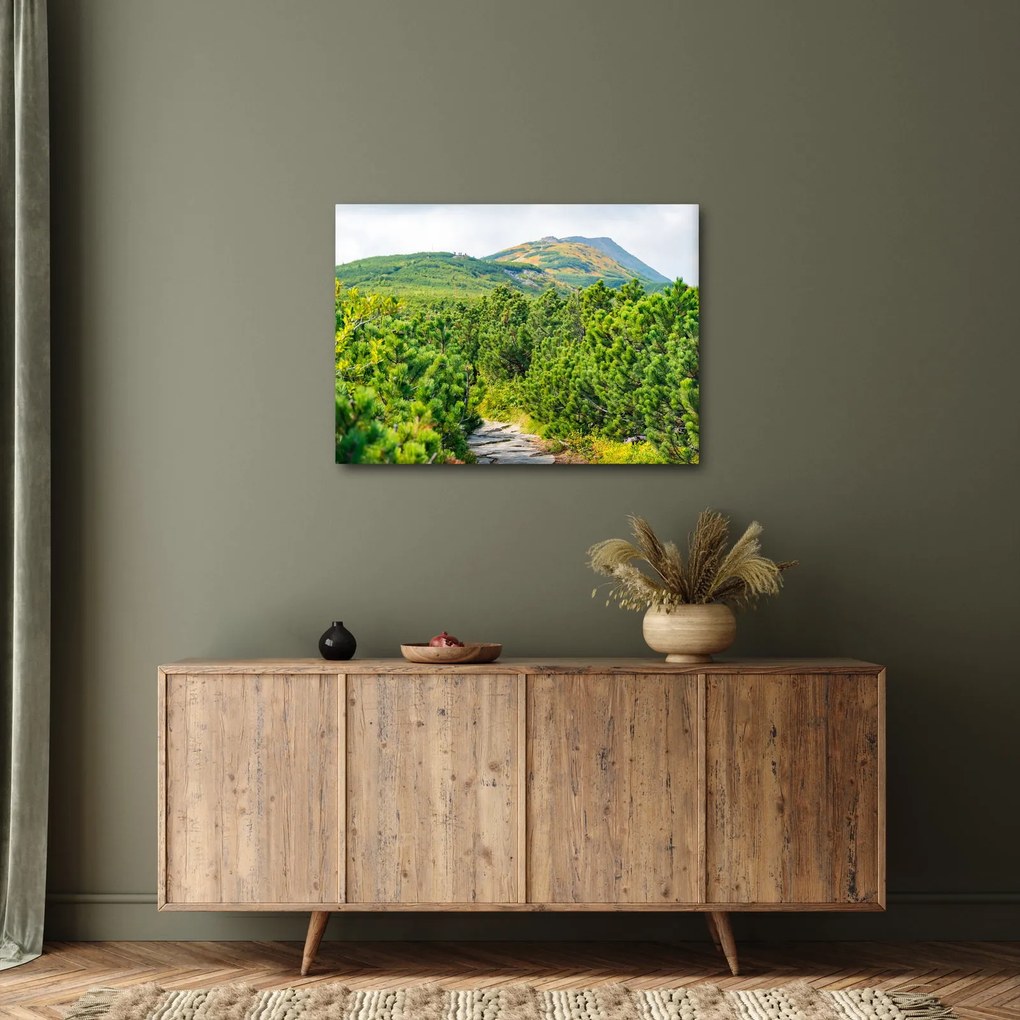 Obraz - Babia Góra, Polska (70x50 cm)