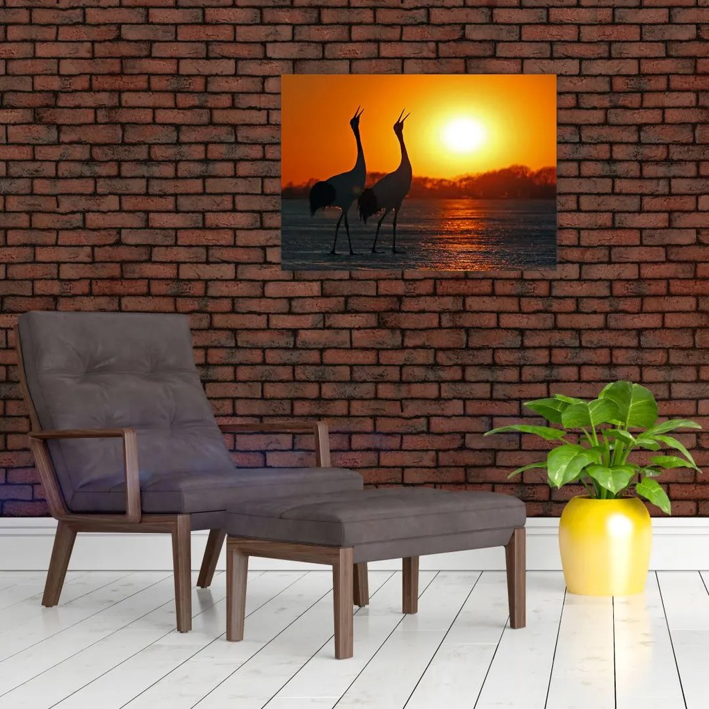 Obraz ptaków o zachodzie słońca (70x50 cm)