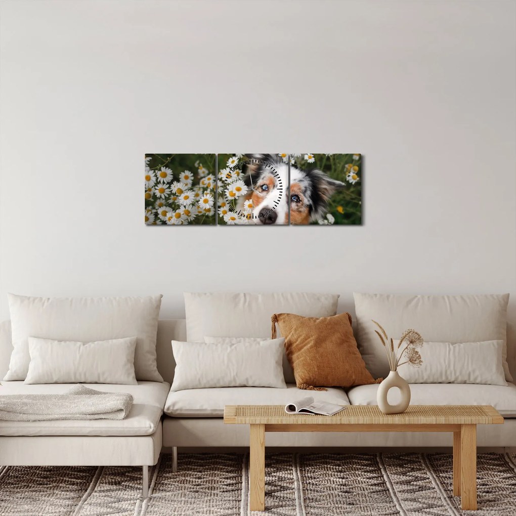 Obraz - Owczarek australijski (z zegarem) (90x30 cm)