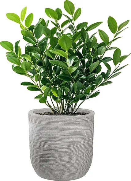 Wazon cylindryczny z żywicy Raffaello Beige 35x34 cm do roślin doniczkowych i ogrodowych