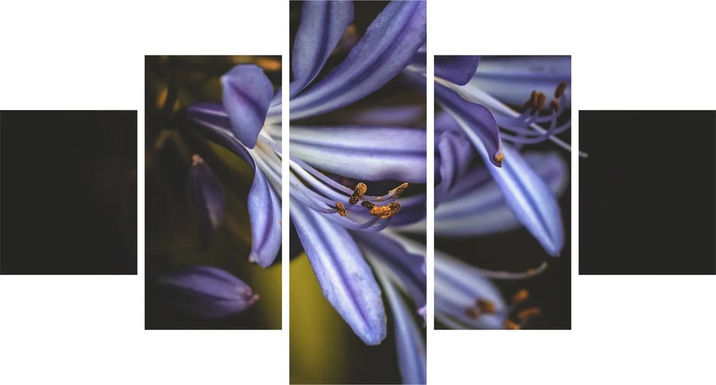 Obraz - Lilia (125x70 cm)