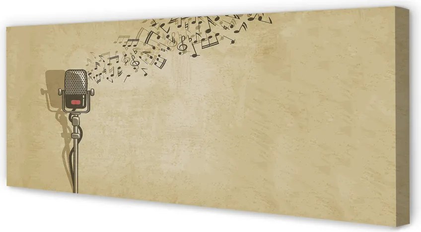 Zdjęcie na płótnie Wokalna Ekspresja Muzyczna