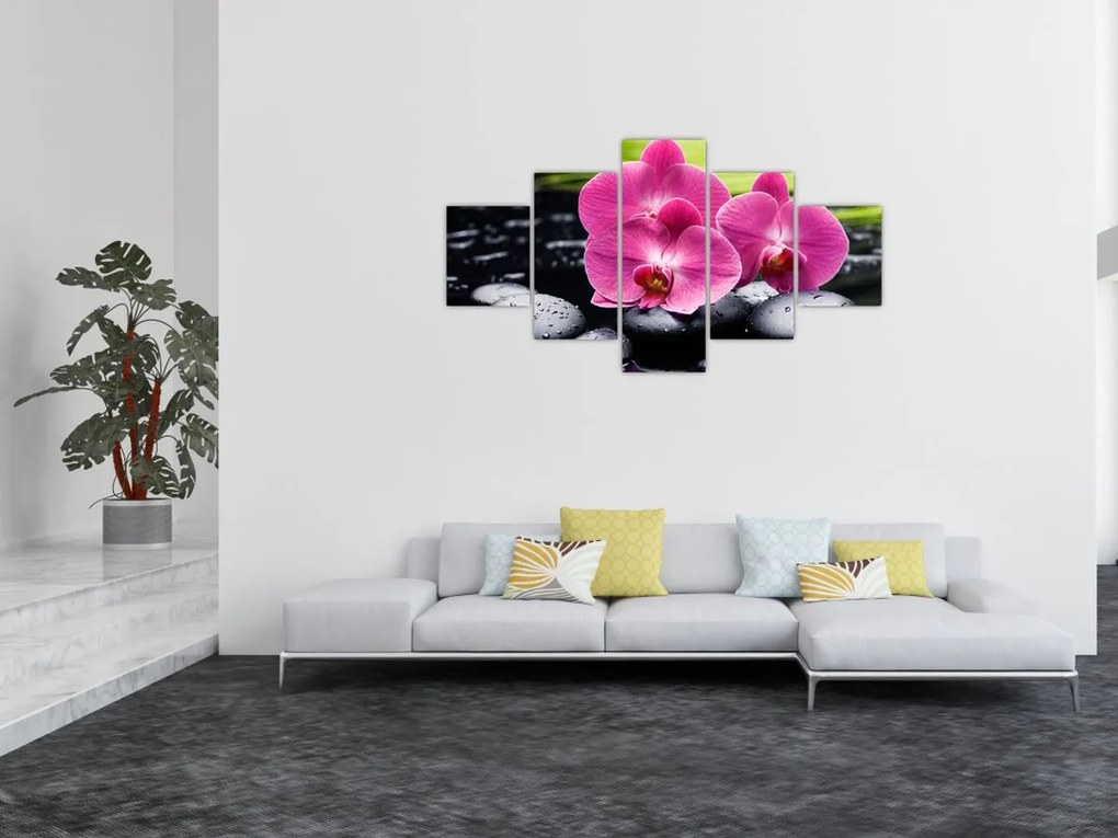 Obraz - Różowe orchidee z liściem palmy (125x70 cm)