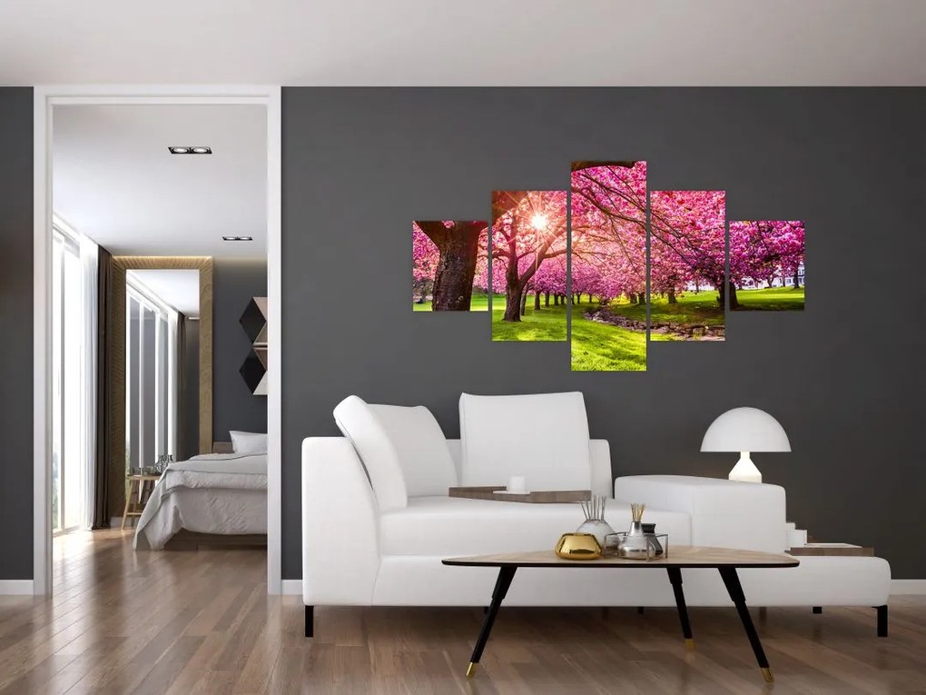 Obraz kwitnących czereśni, Hurd Park, Dover, New Jersey (125x70 cm)