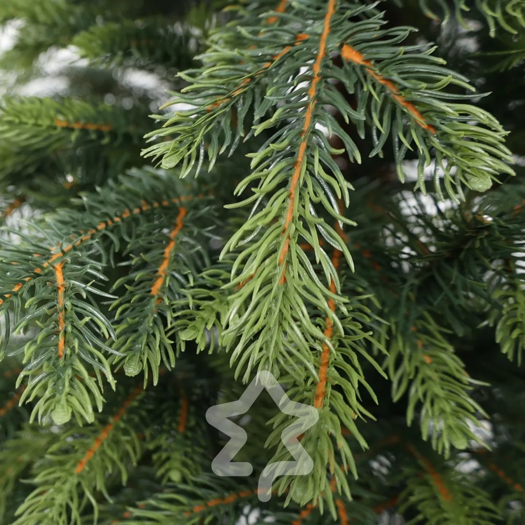 Świerk Natura 150 cm