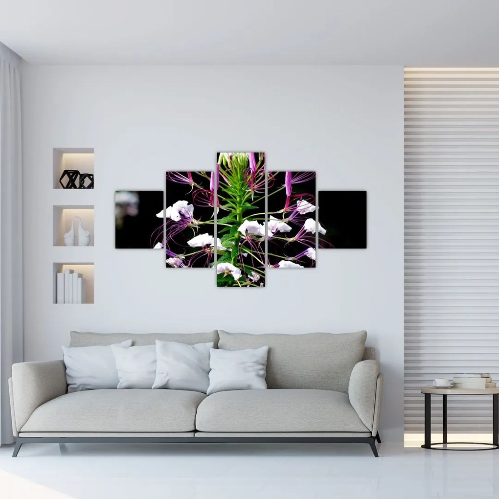 Obraz kwiatu (125x70 cm)