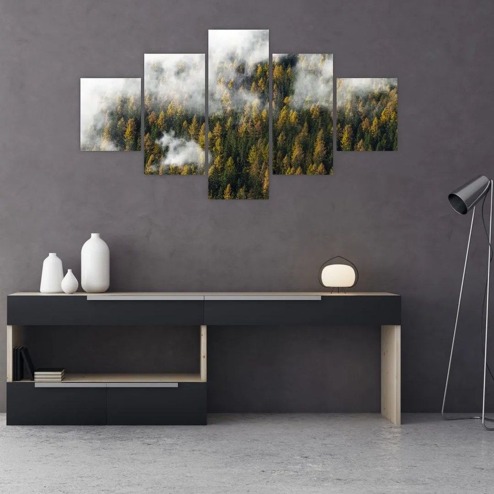 Obraz lasu w chmurach (125x70 cm)