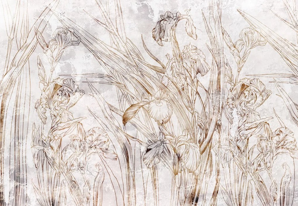 Fototapeta - Irys (196x136 cm)