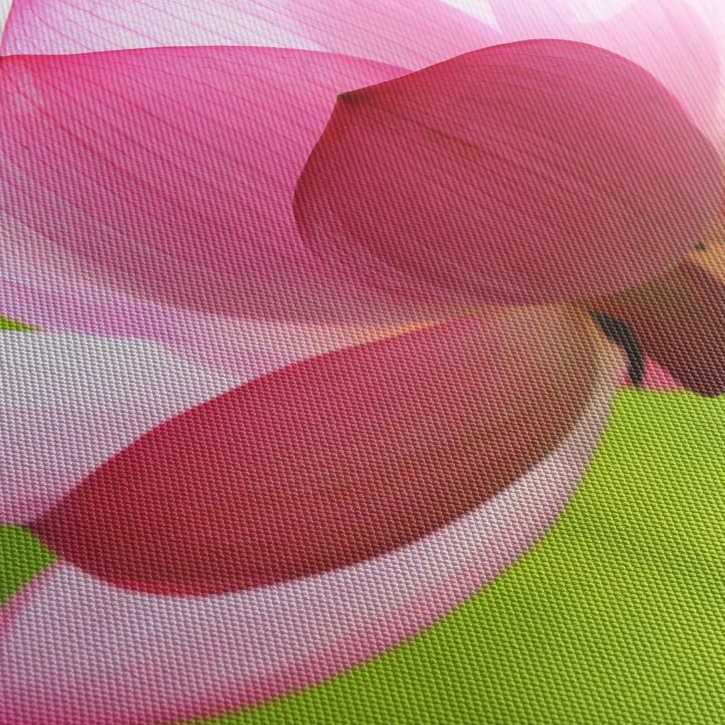 Obraz kwiatu lotosu (z zegarem) (90x30 cm)