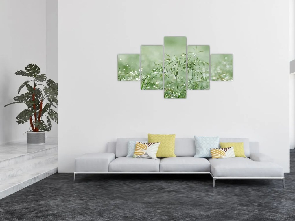 Obraz - Poranna rosa na źdźbłach trawy (125x70 cm)