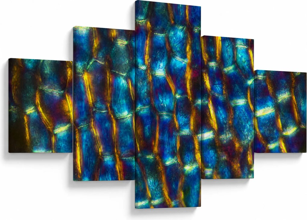 Obraz - Ściana komórkowa (125x70 cm)