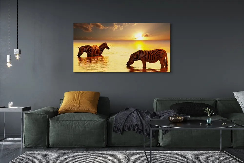 Obraz na płótnie Zebry w Wodzie o Zachodzie Słońca
