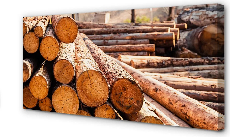 Obraz na płótnie Składowisko Świeżych Bali