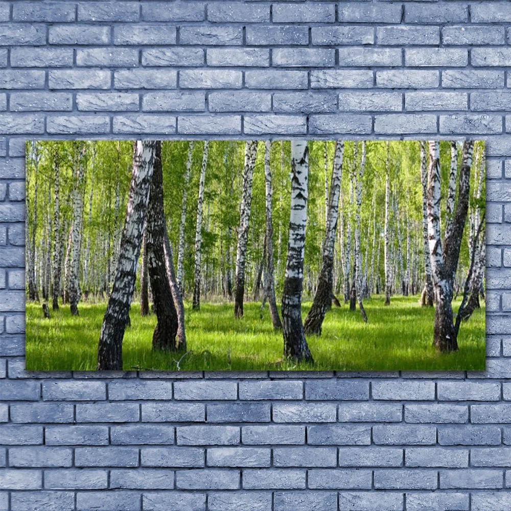 Obraz na płótnie Tajemniczy Bór Sosnowy